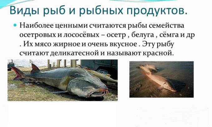 Деликатесные сорта рыбы могут спровоцировать новый приступ панкреатита.