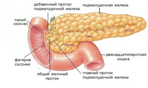 Нарушение функции поджелудочной железы может привести к развитию сахарного диабета. Но наиболее распространенная болезнь поджелудочной железы - это панкреатит