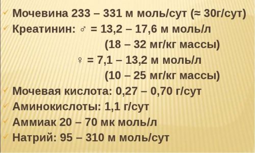 Химический состав мочи (основные компоненты)