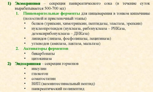 Поджелудочная железа выполняет две важные функции