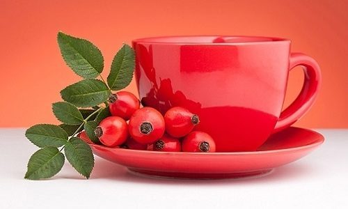Больному на разных стадиях панкреатита разрешается пить отвар шиповника